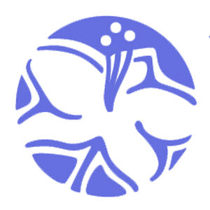 Team Page: Men of the Immaculata